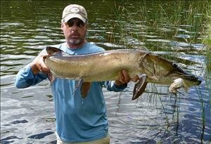 Musky fly fishing guide